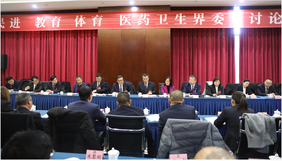 杨青龙参加民进教育体育医药卫生界委员讨论时强调推动教育强市建